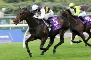 Romancer (NZ) claims Mufhasa Stakes. Photo: Trish Dunell.